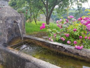 PEREGRINACIÓN COVADONGA
