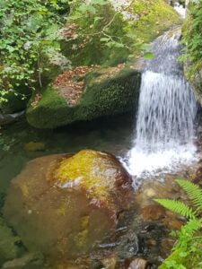 PARQUE NATURAL DE REDES