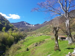 PARQUE NATURAL DE REDES