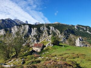 Picos de Europa