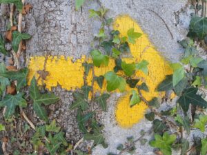 ESENCIA DEL CAMINO DE SANTIAGO DEL NORTE