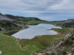Picos de Europa