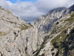 Picos de Europa