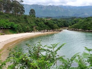 ESENCIA DEL CAMINO DE SANTIAGO DEL NORTE
