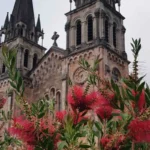 Peregrinación a Covadonga