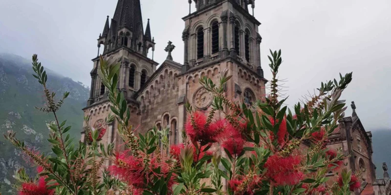 Peregrinación a Covadonga